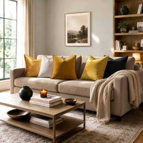 Decorative Cream White Velvet Euro Sham Throw Pillow Covers 24x24 in (24" x 24" (Pack of 2) / Cream White)