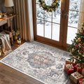 Washable 3x4 Entryway Area Rugs (3x4 / Brick)