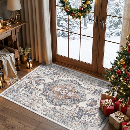 Washable 3x4 Entryway Area Rugs (3x4 / Brick)