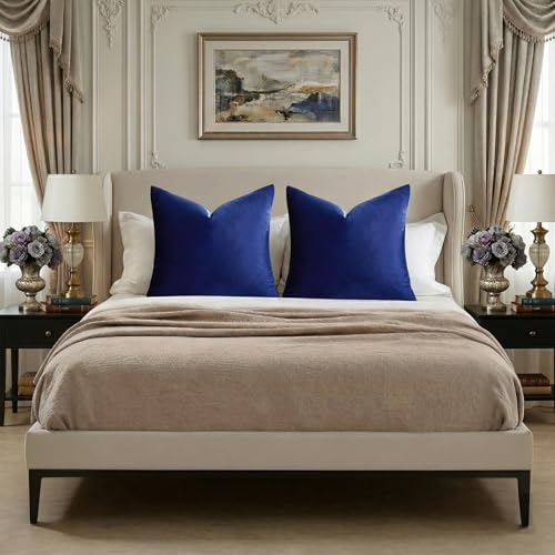 Royal Blue Velvet Throw Pillow Covers 20x20 Pack of 2 (Royal Blue / 20" x 20" (Pack of 2))