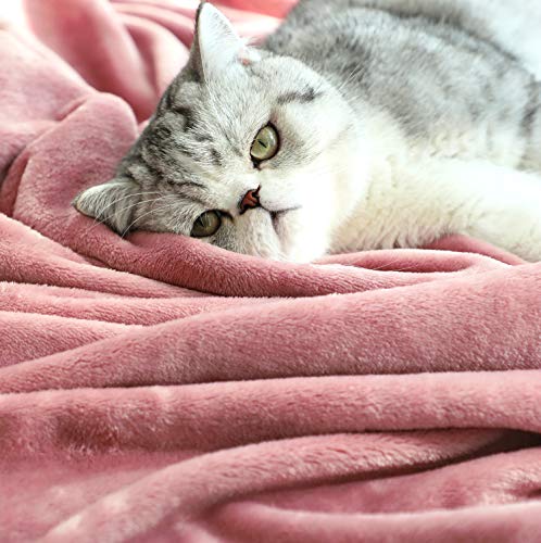 Large Flannel Fleece Throw Blanket (Two Pack 50"x70" / Pink)