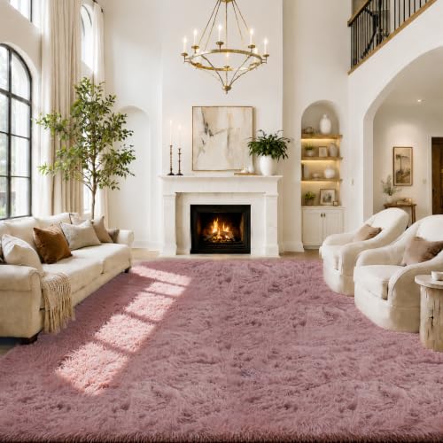 Area Rugs 9x12 Living Room (Blush / 9' x 12' (Rectangular))