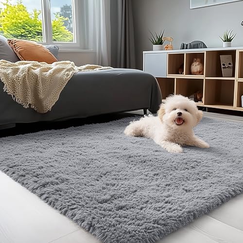 3x5 Machine Washable Small Bedside Rug (3x5 Ft / Light Grey)