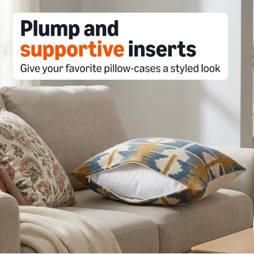 Square Hypoallergenic Pillow Insert (18 x 18 inches / 2 Pack)