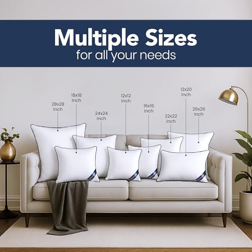 18x18 Throw Pillow Inserts (18x18 Inch)