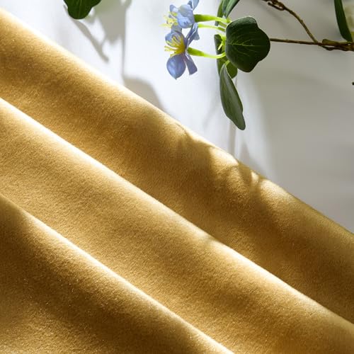 Golden Velvet Pillow Covers 12x20 Decorative Pillows Pack of 2 (Golden / 20" x 12" (Pack of 2))