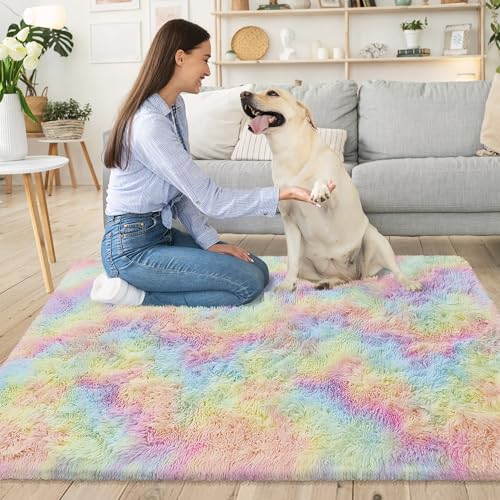Small Fluffy Rainbow Colorful Area Rug for Girls Bedroom 3x5 Kawaii Tie Dye Rug Fuzzy Unicorn Throw Rug for Living Room Kids Nursery Baby Princess Room Living Room Home Decor Aesthetic Carpets (Tie-dyed Rainbow / 3' x 5' (Rectangular))