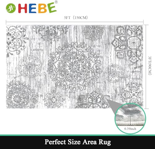 HEBE Area Rug for Entryway 3'x5' (Grey / 3' x 5' (Rectangular))