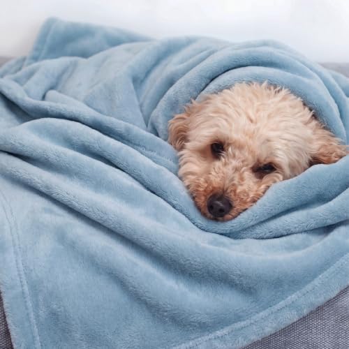 Fleece Throw Blanket for Couch Light Blue (Light Blue / Throw XL (50" X 70"))