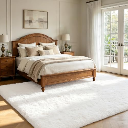 Shag Area Rugs for Bedroom Living Room