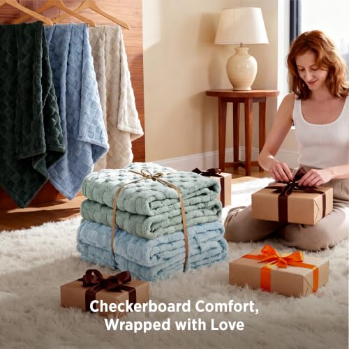 Checkered Soft Cozy Queen Blanket for Bed (Light Blue / Queen (90" X 90"))