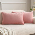 12x20 Inch Lumbar Velvet Throw Pillow Covers Dusty Pink (20" x 12" (Pack of 2) / Dusty Pink)