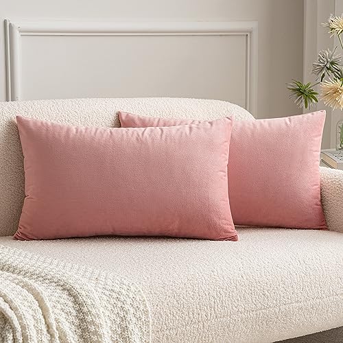 12x20 Inch Lumbar Velvet Throw Pillow Covers Dusty Pink (20" x 12" (Pack of 2) / Dusty Pink)