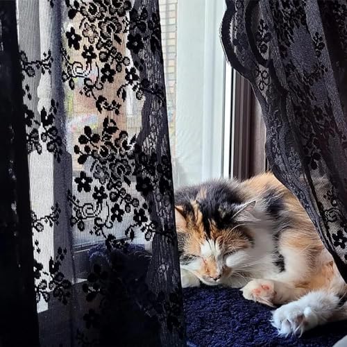 Vintage Lace Curtains 45 Inch Length (Black / 52"W x 45"L (Pack of 2))