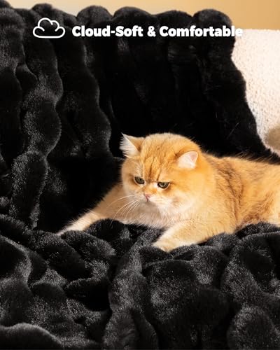 Ultra Soft Cozy Faux Fur Throw Blanket (Black / Throw)