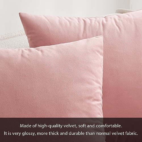 12x20 Inch Lumbar Velvet Throw Pillow Covers Dusty Pink (20" x 12" (Pack of 2) / Dusty Pink)