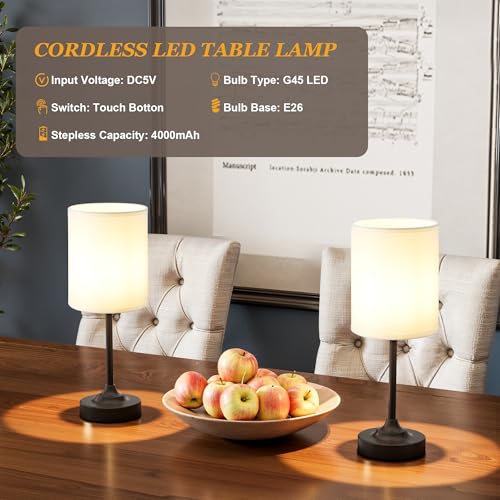 Touch Control Cordlss Table Lamp (White - Black)