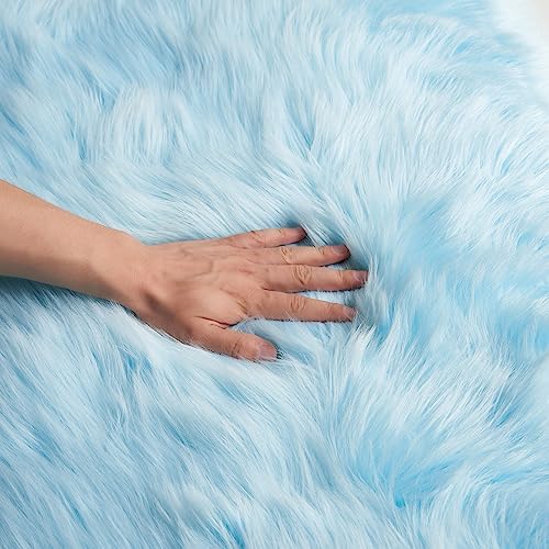 Ultra Soft Fluffy Shaggy Area Rug Faux Fur Rug Chair Cover Seat Pad Fuzzy Area Rug for Bedroom Floor Sofa Living Room (Sky Blue / 2' x 6' (Sheepskin))