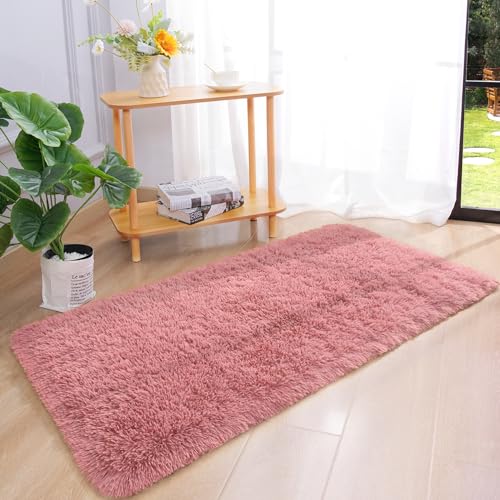 Soft Runner Rug for Bedroom Living Room Plush Fluffy Rug 2x4 (Blush / 2' x 4' (Runner))