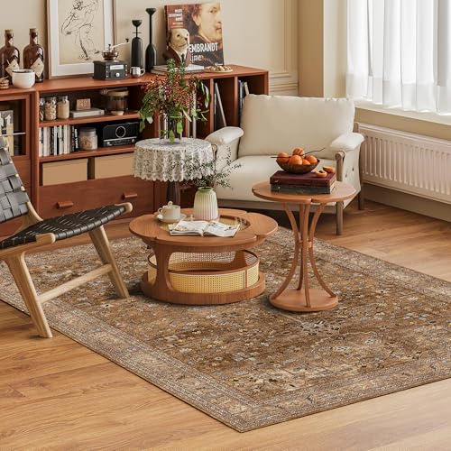 Washable Area Rug 3' x 5 ' Vintage Traditional Persian Mat (Bronze and Ivory / 3' x 5' (Rectangular))