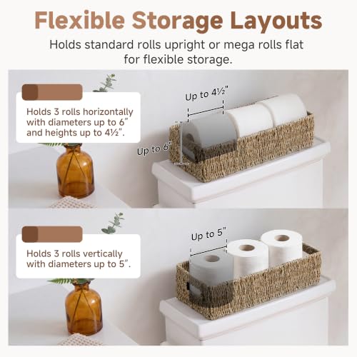 Wicker Seagrass Baskets (Natural (Seagrass) / 14¼" L x 6¾" W x 3¾" H)