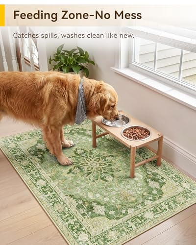 Washable Area Rug (Green/Yellow / 2' x 3' (Rectangular))