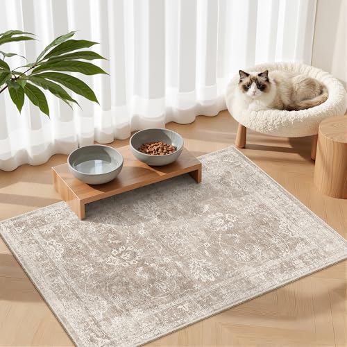 2x3 Washable Rugs for Entryway (Brown/Sand / 2' x 3' (Rectangular))