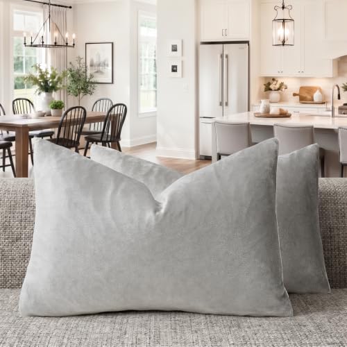 Silver Grey Velvet Throw Pillow Covers 12x20 Pack of 2 (Silver Grey / 20" x 12" (Pack of 2))