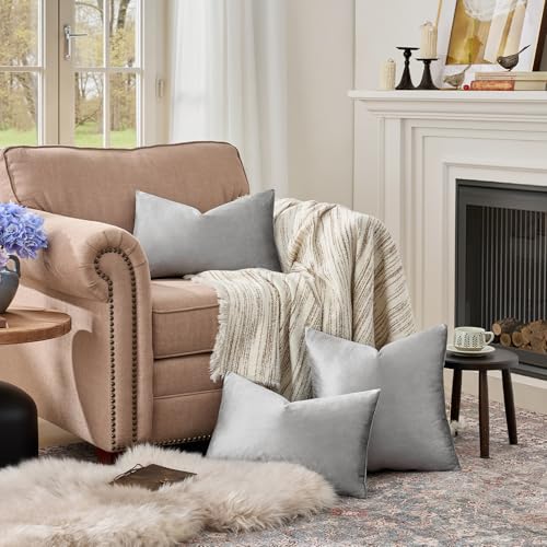 Dark Grey Velvet Throw Pillow Covers 12x20 Pack of 2 (Dark Grey / 20" x 12" (Pack of 2))