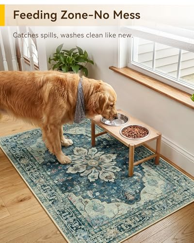 Washable Area Rug (Teal / 2' x 3' (Rectangular))