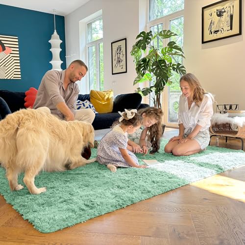 6x9 Machine Washable Large Area Rugs for Living Room (6x9 Ft / Mint Green)