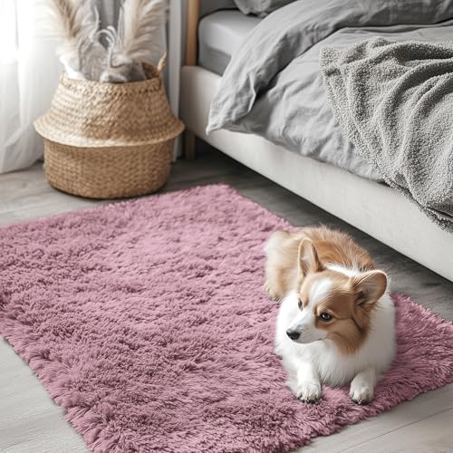 2x3 Machine Washable Small Bedside Rug (2x3 Ft / Blush)