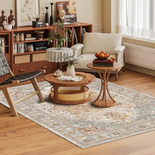 Washable Area Rug 5' x 7' Vintage Traditional Persian Mat (Dove Gray and Coral / 5' x 7' (Rectangular))
