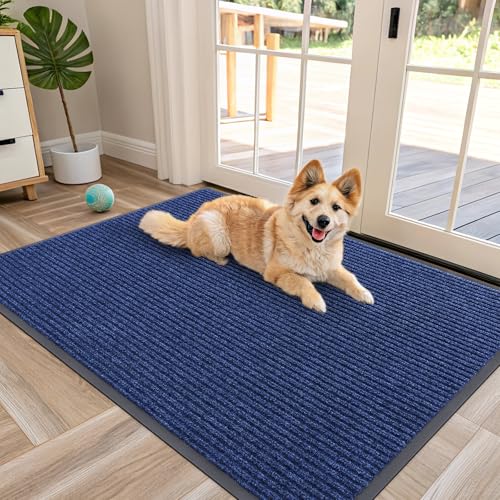 Front Door Mat 47x30 (Blue / 47" X 30")