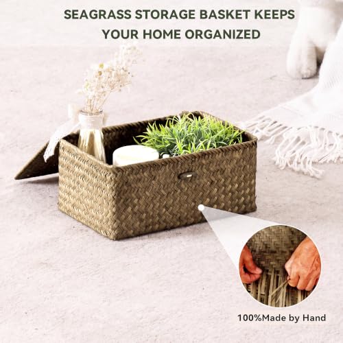 Wicker Storage Basket with Lid (Coffee* Set of 3)
