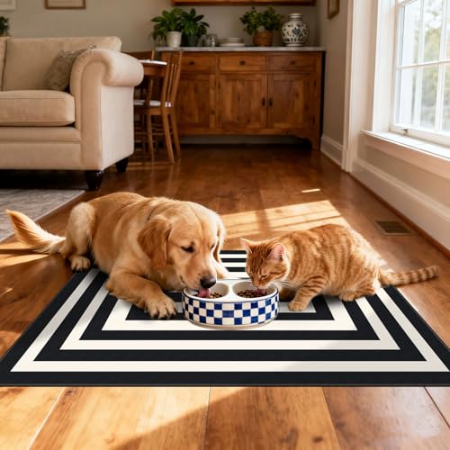 Front Door Mat Indoor Outside Entrance (Geometric Border- Black/White / 2' x 3' (Rectangular))
