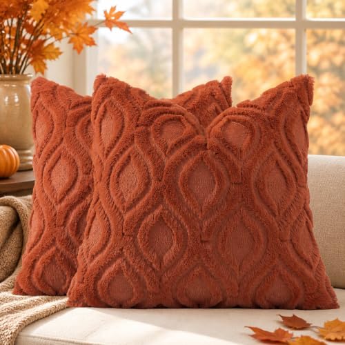 Faux Fur Plush Soft Rust Throw Pillow Covers 22x22 Set of 2 (22" x 22" (Pack of 2) / Rust)