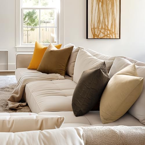 24x24 Inch Pack of 2 Euro Velvet Throw Pillow Covers Beige (24" x 24" (Pack of 2) / Beige)