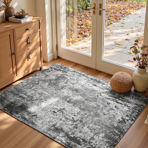 Entrance Rugs Indoor 3x5 Black Entry Rug Washable Abstract Black Small Area Rug Non (Black / 3' x 5' (Rectangular))