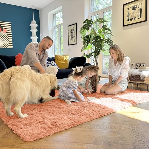 5x7 Machine Washable Large Area Rugs for Living Room (5x7 Ft / Muted Orange)