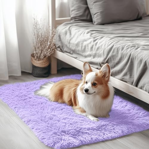 2x3 Machine Washable Small Bedside Rug (2x3 Ft / Light Purple)