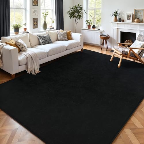 5x7 Area Rugs for Living Room Non Slip Dorm Bedroom Rug (5' x 7' (Rectangular) / Black)