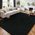 5x7 Area Rugs for Living Room Non Slip Dorm Bedroom Rug (5' x 7' (Rectangular) / Black)