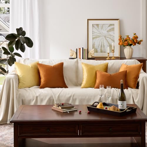 Burnt Orange Velvet Throw Pillow Covers 24x24 Pack of 2 (Dark Burnt Orange / 24" x 24" (Pack of 2))