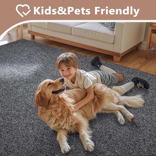 7x10 Large Grey Area Rug Non (07 Grey / 7' x 10' (Rectangular))
