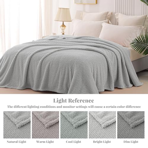 Soft Fleece King Size Bed Blanket (Light Grey / King(90x104 In))