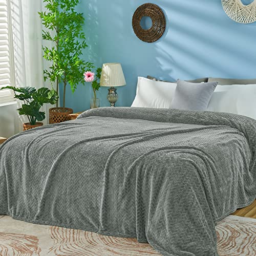 Grey Fleece King Blanket for Bed (Light Grey / King/Cal King-90x108 IN)