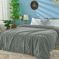 Grey Fleece King Blanket for Bed (Light Grey / King/Cal King-90x108 IN)