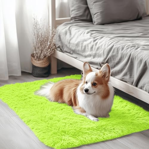 2x3 Machine Washable Small Bedside Rug (2x3 Ft / Lime Green)