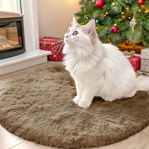 Taupe Round Rugs for Bedroom (2 Ft Round / Taupe)